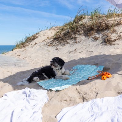 Zoom bild av Dogman Kyldyna Prickig Turkos, tre storlekar kylande dyna sommar värme turkos vit varm hund cooling pad mat