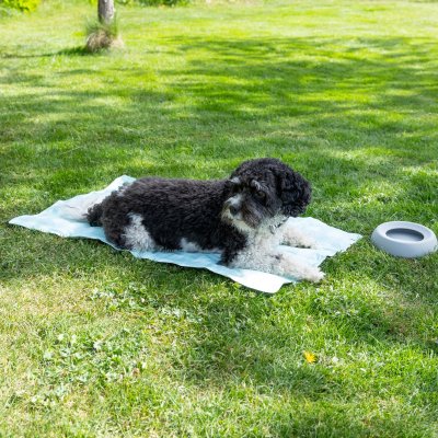 Zoom bild av Dogman Kyldyna Randig Turkos, tre storlekar cooling mat varm hund svalkande kylande dyna sommar stripes turkos vit