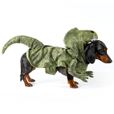 Zoom bild av Dogman Maskeradkostym Dino dinosaurie trex grön hunddräkt halloween utklädnad