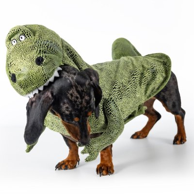 Zoom bild av Dogman Maskeradkostym Dino dinosaurie trex grön hunddräkt halloween utklädnad
