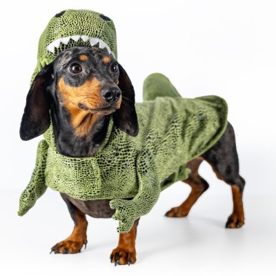 Zoom bild av Dogman Maskeradkostym Dino dinosaurie trex grön hunddräkt halloween utklädnad
