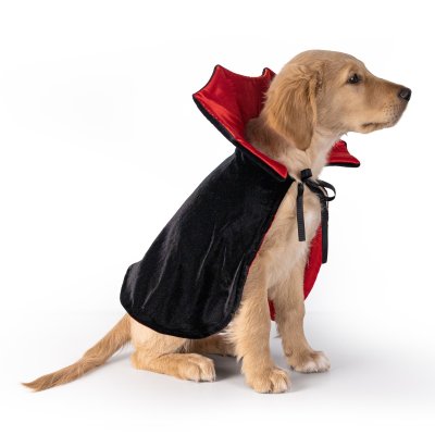 Zoom bild av Dogman Maskeradkostym Dracula halloween vampyr cape hundkläder svart röd