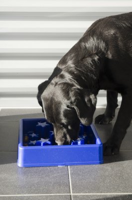 Zoom bild av Eat Slow Live Longer matskål Star Stjärna