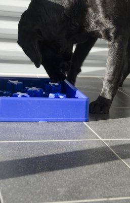 Zoom bild av Eat Slow Live Longer matskål Star Stjärna