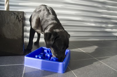 Zoom bild av Eat Slow Live Longer Star Blue Blå Small stjärna matskål