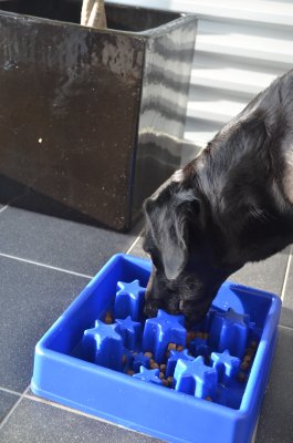 Zoom bild av Eat Slow Live Longer matskål Star Stjärna