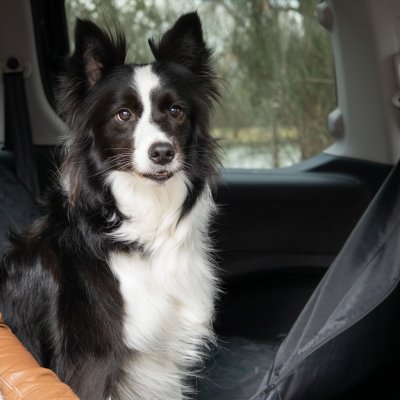 bilsätesskydd bilklädsel skyddssäte sätesskydd hund hundskydd bil flamingo svart justerbart baksäte dubbelsäte enkelt säte hål f