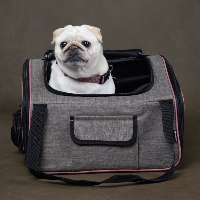 Zoom bild av bilsäte bilsits bilbädd bilbur hundbädd bilbur bil hundsäte hundsits transportbur grå svart taupe flamingo hund katt