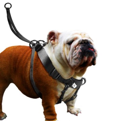 Zoom bild av Flamingo Harness Easy Walker Black