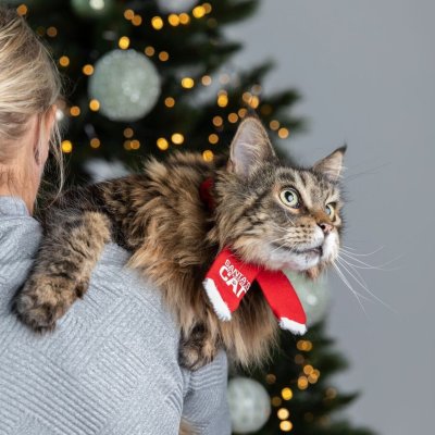 Zoom bild av Flamingo Julhalsduk Xmas Santa's Favorite Cat Röd scarf necktie cat katt accessoar jul röd vit