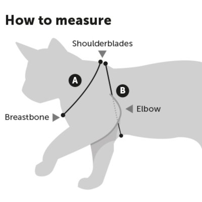 Zoom bild av kattsele rymningssäker med koppel kattkoppel kattset sele matchande vuxen katt 1,1m koppel rosa blå svart