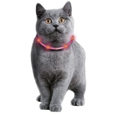 Lyshalsband katt LED Visio Svart 35 cm