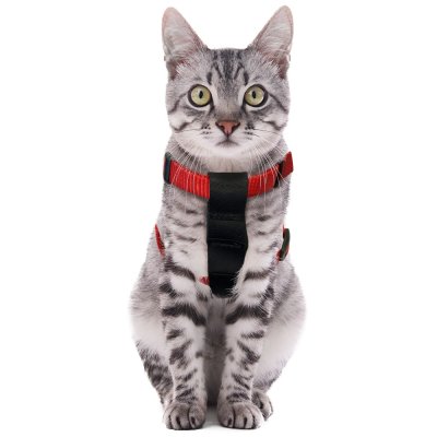 Zoom bild av Sekur Bilsele med bälte för katt, Röd