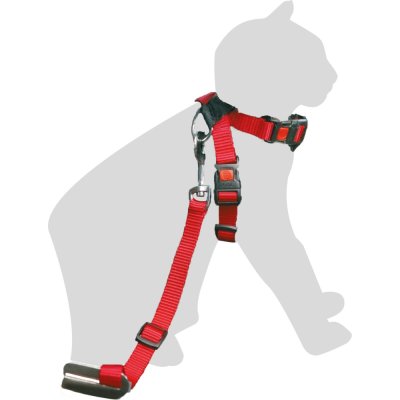 Zoom bild av Sekur Bilsele med bälte för katt, Röd