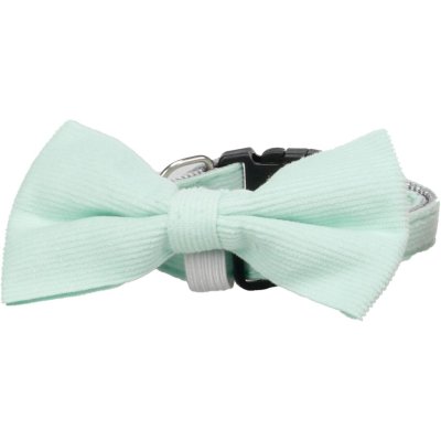 Zoom bild av Flamingo valphalsband med fluga puppy elfi blandade färger rosett band manchester rosa blå grön