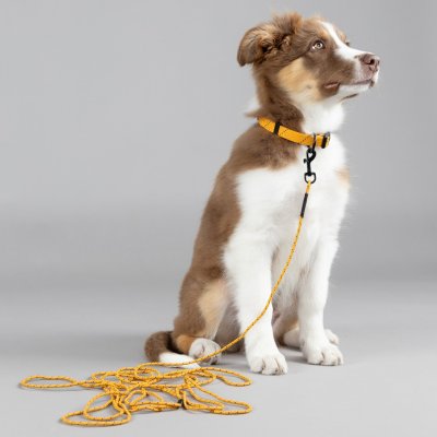 Zoom bild av flamingo Valpkoppel Puppy Dolly Ockra ochre saffransgul gul hundkoppel lätt koppel kattkoppel karbinhake säkert reflex långt 5 m