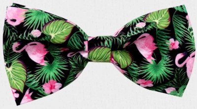 Zoom bild av Sommarfluga, flamingo ljusrosa-grön