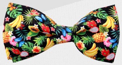 Zoom bild av Sommarfluga, fruktmix