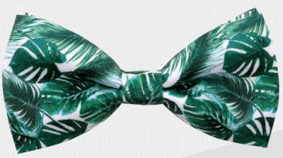 Zoom bild av Sommarfluga, gröna blad monstera