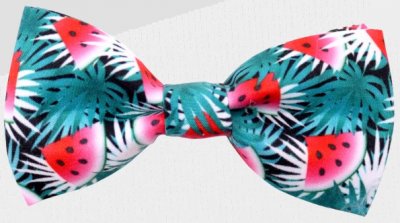 Zoom bild av Sommarfluga, vattenmelon röd