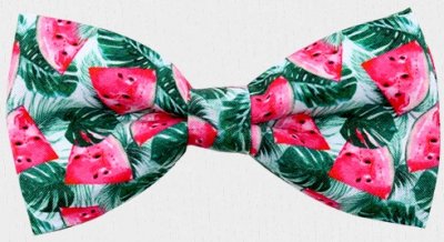 Zoom bild av Sommarfluga, vattenmelon rosa