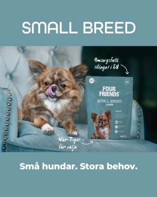 Zoom bild av Four Friends Dog Small Breed Lamb adult hundfoder småhund lamm spannmålsfritt