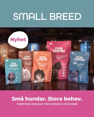 Zoom bild av Four Friends Dog Small Breed Lamb adult hundfoder småhund lamm spannmålsfritt