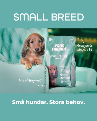 Zoom bild av Four Friends Dog Small Breed Puppy Lamb hundfoder valpfoder små raser småhund valp lamm
