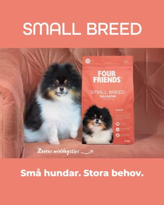 Zoom bild av Four Friends Dog Small Breed Salmon hundfoder småhund lax sill spannmålsfritt