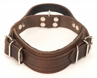 Läderhalsband med handtag