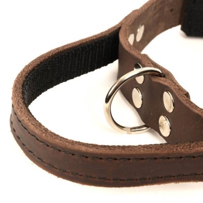 Läderhalsband med handtag