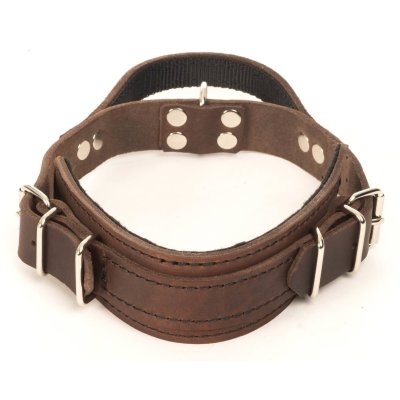 läderhalsband hundhalsband handtag brun globus