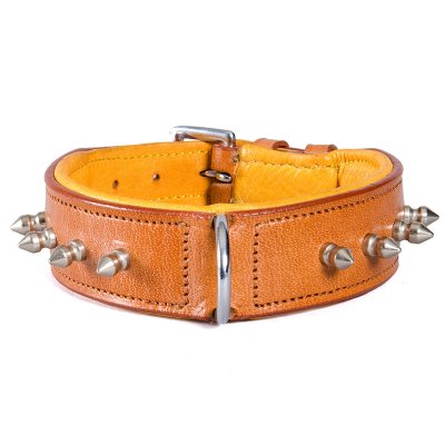 Globus läderhalsband spikes, två färger