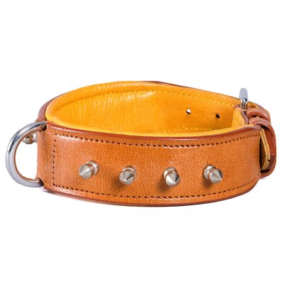 Globus läderhalsband spikes, två färger