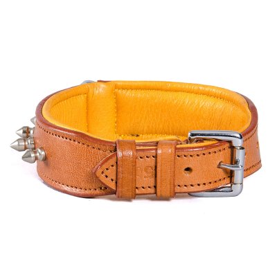 Globus läderhalsband spikes, två färger