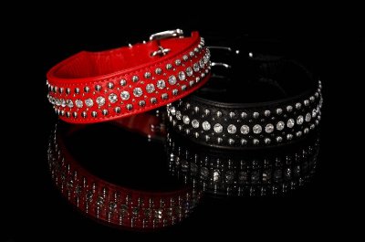 Globus Läderhalsband Stenar + Nitar Svart