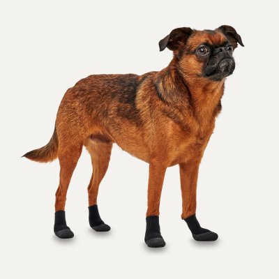 Zoom bild av hundsko hundstövel alla säsonger alla underlag gelesula bekväma hundskor hundsocka vinter hund svart goo eez lites