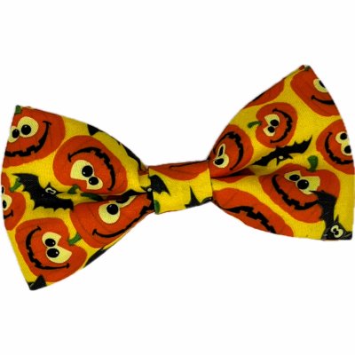 Zoom bild av halloweenfluga hundfluga halloween rosett pumpor