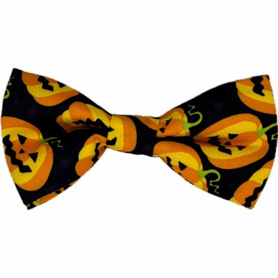 Zoom bild av halloweenfluga hundfluga halloween rosett pumpor