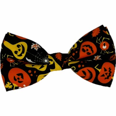 Zoom bild av halloweenfluga hundfluga halloween rosett pumpor