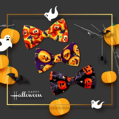 Zoom bild av halloweenfluga hundfluga halloween rosett pumpor