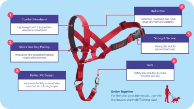 Zoom bild av Halti Training Harness Svart