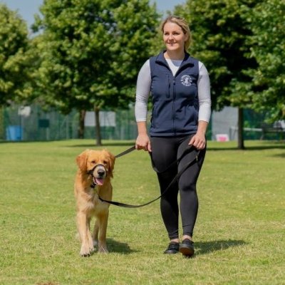 Zoom bild av Halti Training Harness Svart