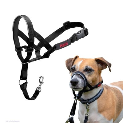 Zoom bild av Halti Training Headcollar Svart harness huvudsele antidrag träning hund