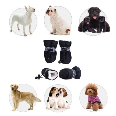 Hundskor Fodrade 4p Svart