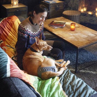 Zoom bild av tikskydd tikblöja löpskydd hundblöja blöja hund hygienskydd tik stretch återanvändningsbar ECO miljövänlig blå hurtta