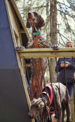 Hurtta Casual Collar ECO, Example