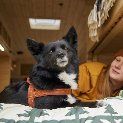 Zoom bild av Hurtta Casual-sele ECO, Exempel