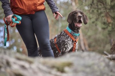 Zoom bild av Hurtta Casual Reflective Leash ECO, 180 cm 20 mm Example