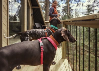 Zoom bild av Hurtta Casual Y-harness ECO, Ruby